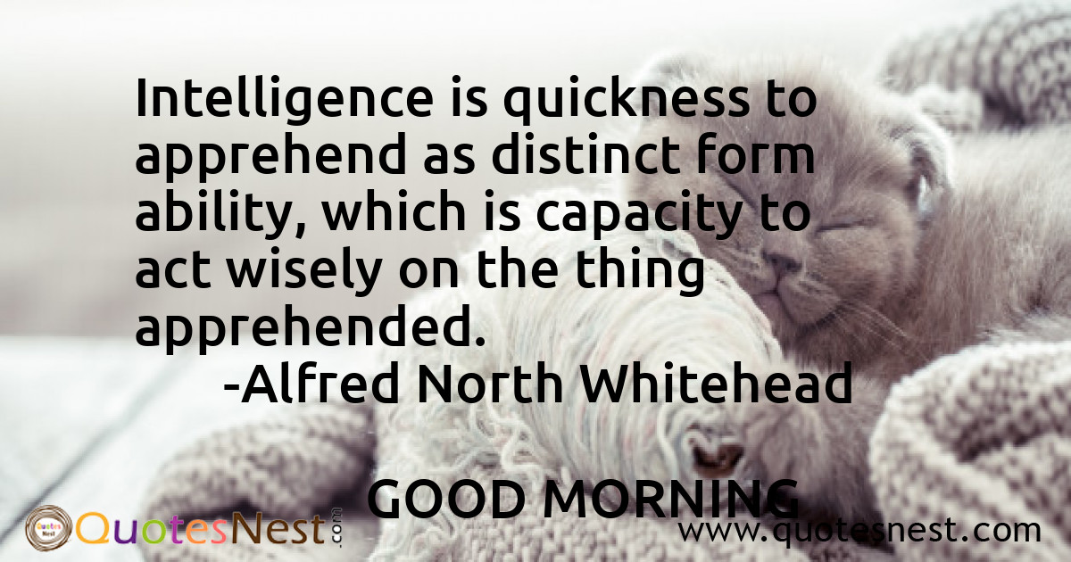 Intelligence_Alfred North Whitehead_2_small